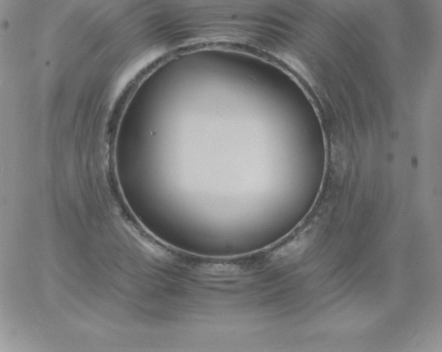 X0000060751119200511241656