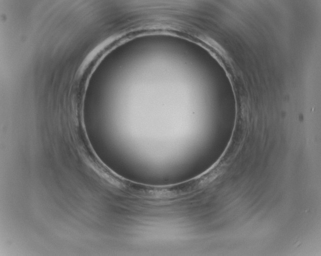 X0000060751120200511241656