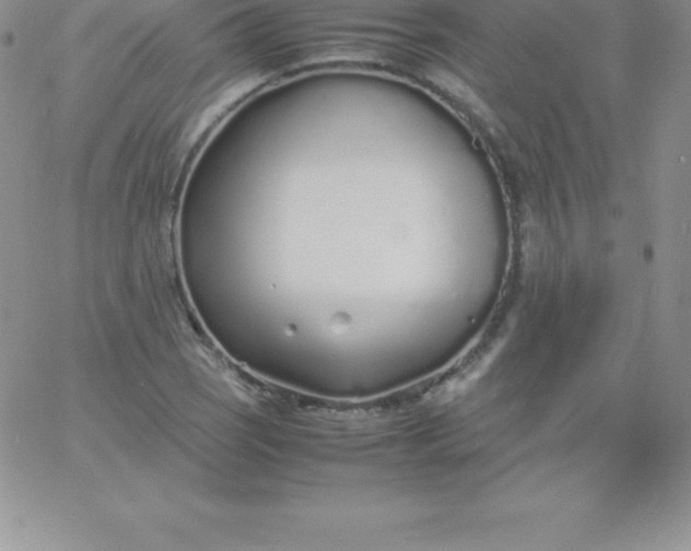 X0000060751121200511241656