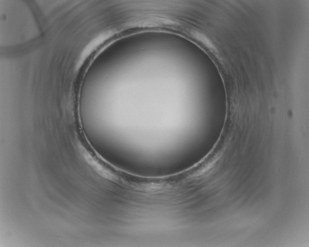 X0000060751122200511241656