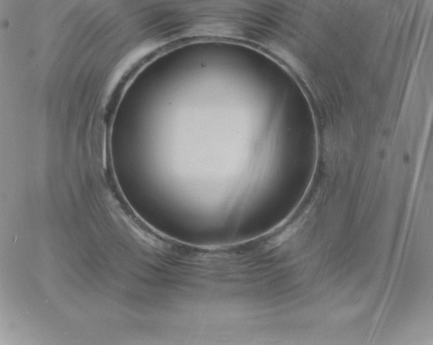 X0000060751123200511241656