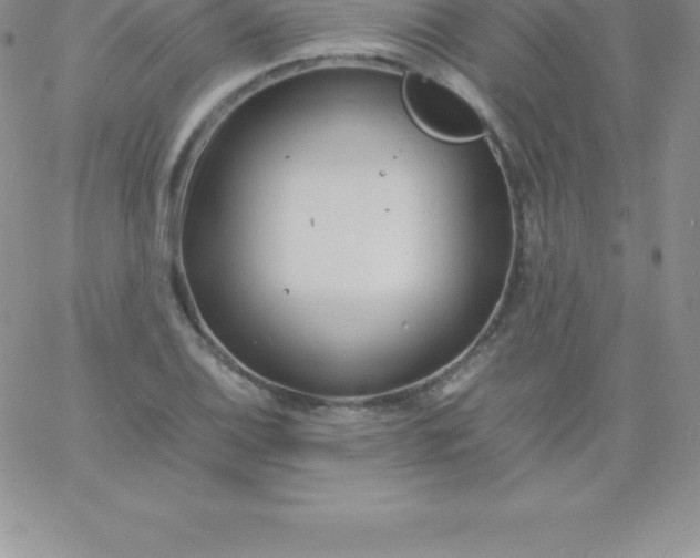 X0000060751124200511241656