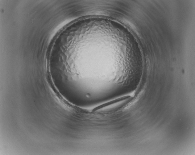 X0000060751125200511241656