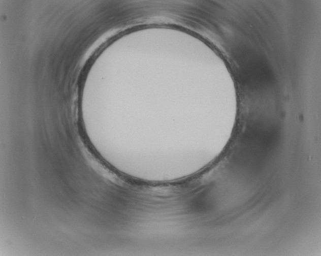 X0000060751126200511241656