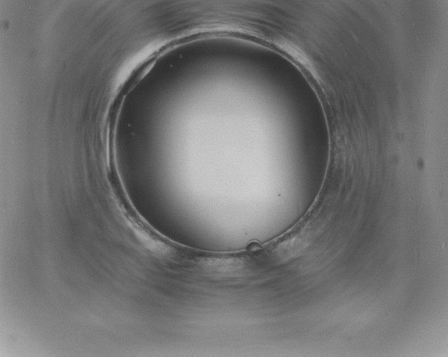 X0000060751127200511241656