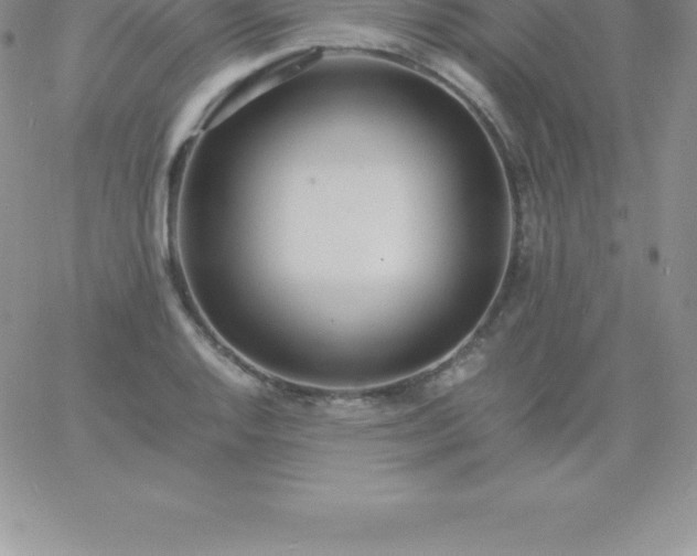 X0000060751128200511241656