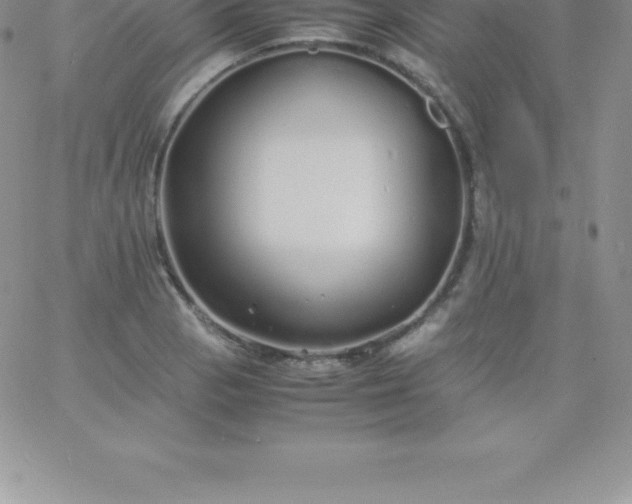 X0000060751129200511241656