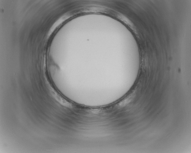 X0000060751130200511241656