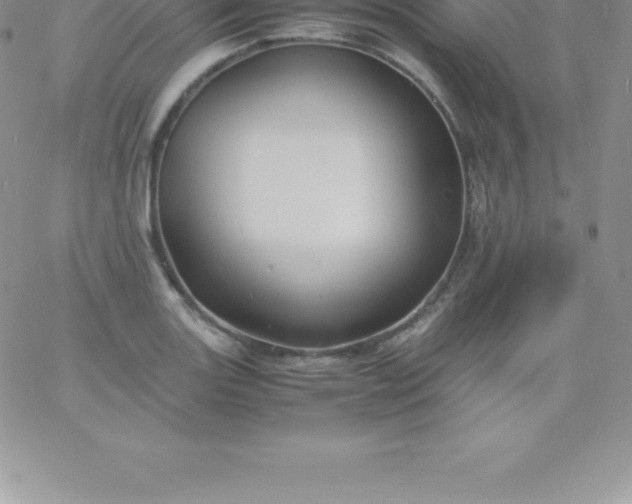 X0000060751131200511241656