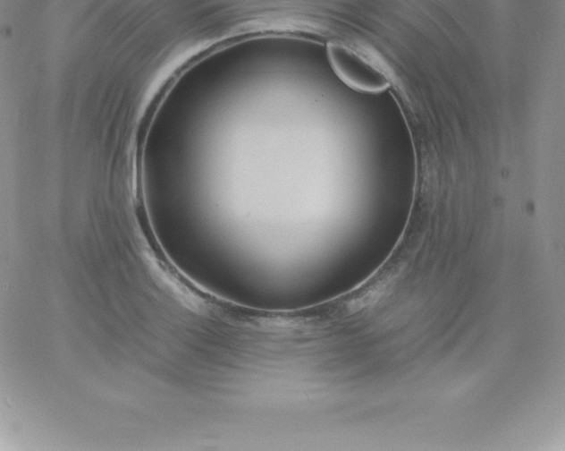 X0000060751132200511241656