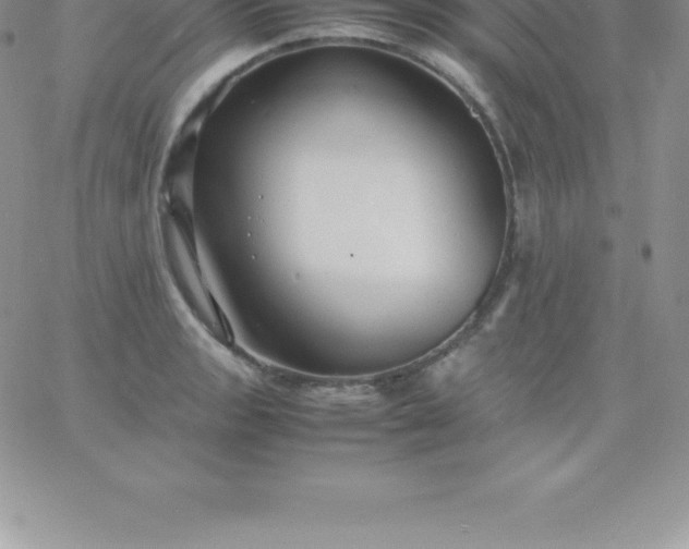 X0000060751133200511241656