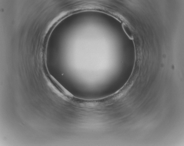 X0000060751134200511241656