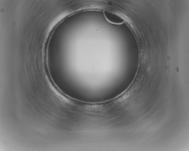 X0000060751135200511241656