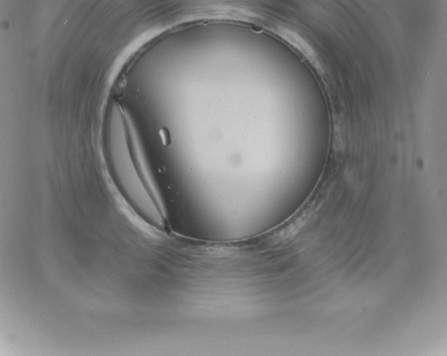 X0000060751136200511241656