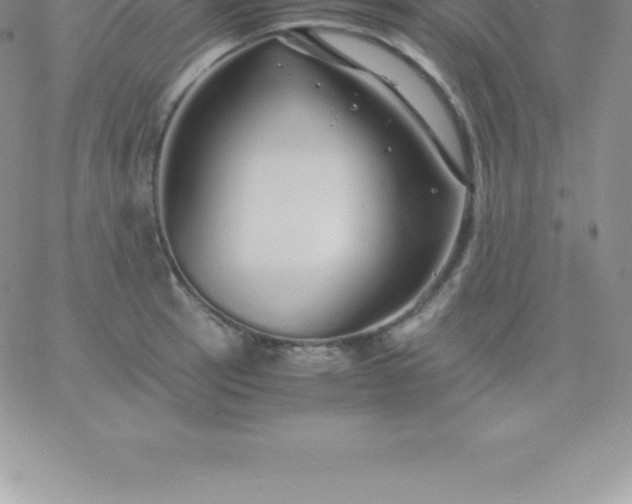 X0000060751137200511241656