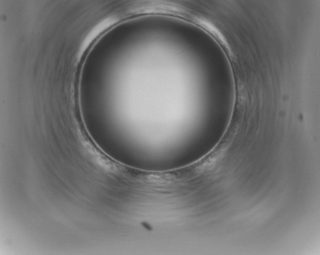 X0000060751138200511241656