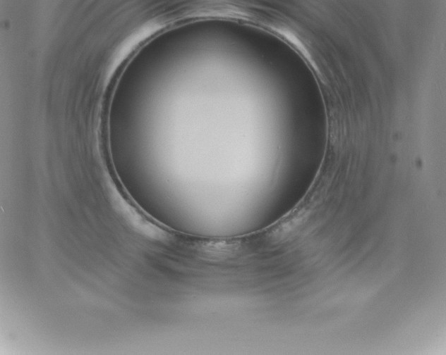 X0000060751139200511241656