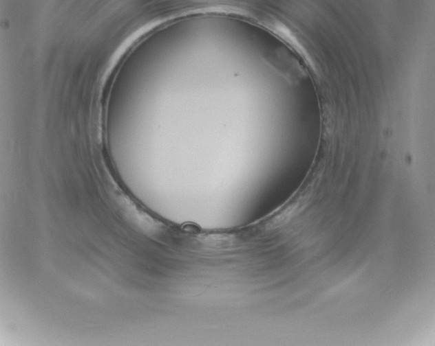 X0000060751140200511241656