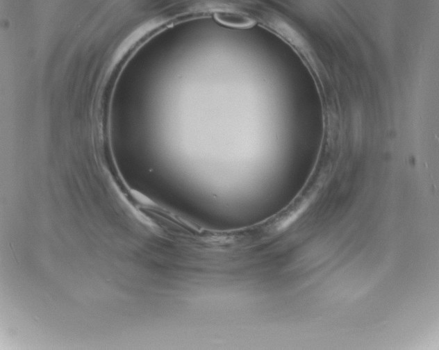 X0000060751141200511241656