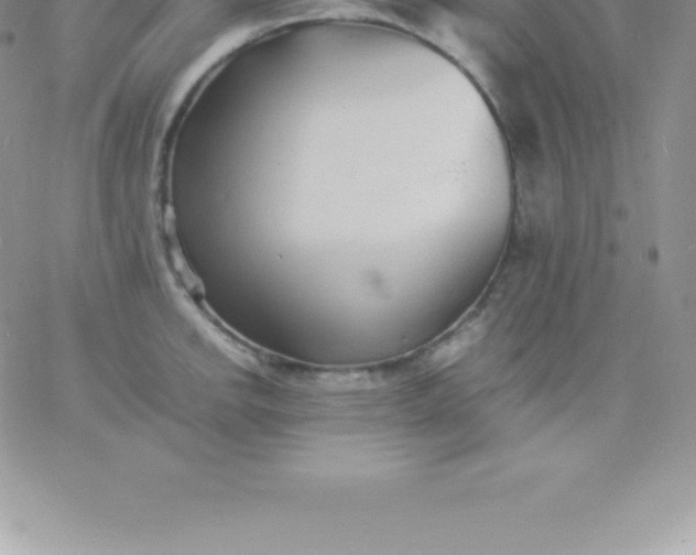 X0000060751142200511241656