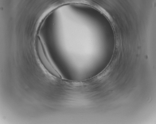 X0000060751144200511241657