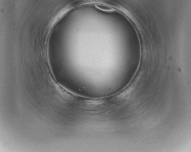 X0000060751145200511241657