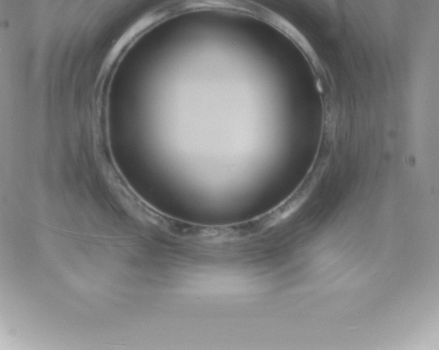 X0000060751146200511241657