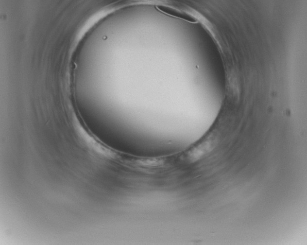 X0000060751147200511241657