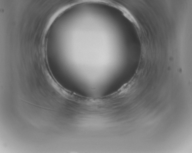 X0000060751148200511241657