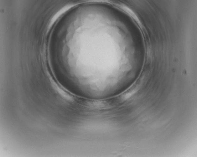 X0000060751149200511241657