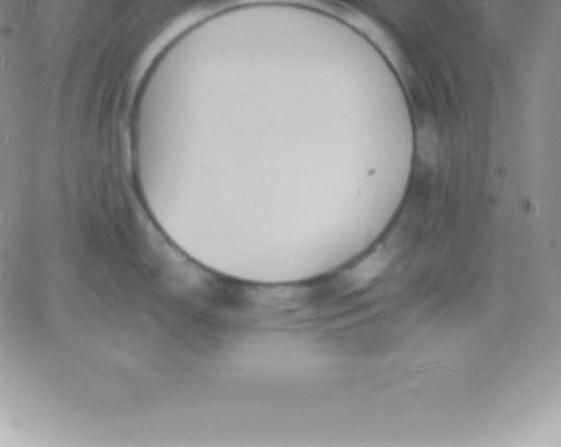 X0000060751150200511241657