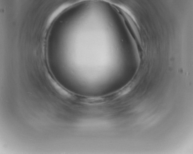 X0000060751151200511241657