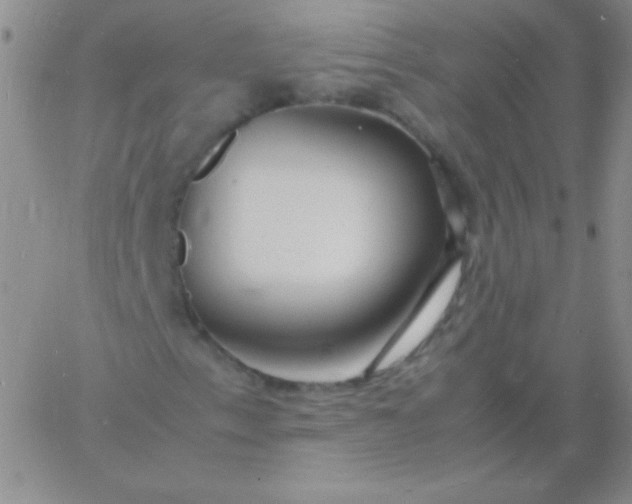 X0000060751153200511241656