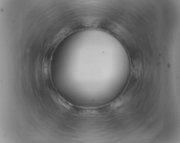 X0000060751154200511241656