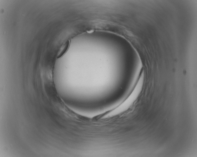 X0000060751155200511241656