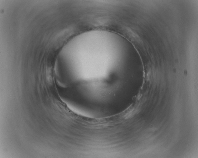 X0000060751156200511241656