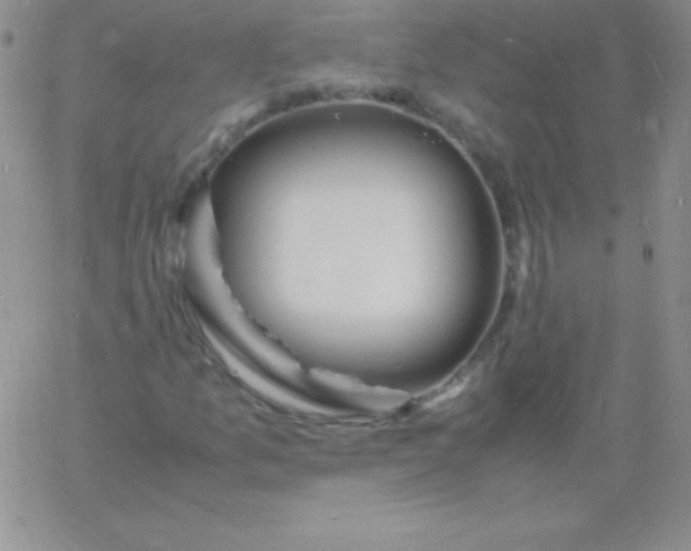 X0000060751157200511241656