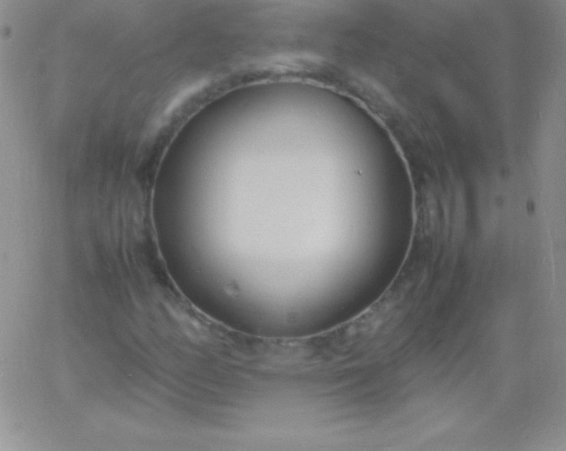 X0000060751158200511241656