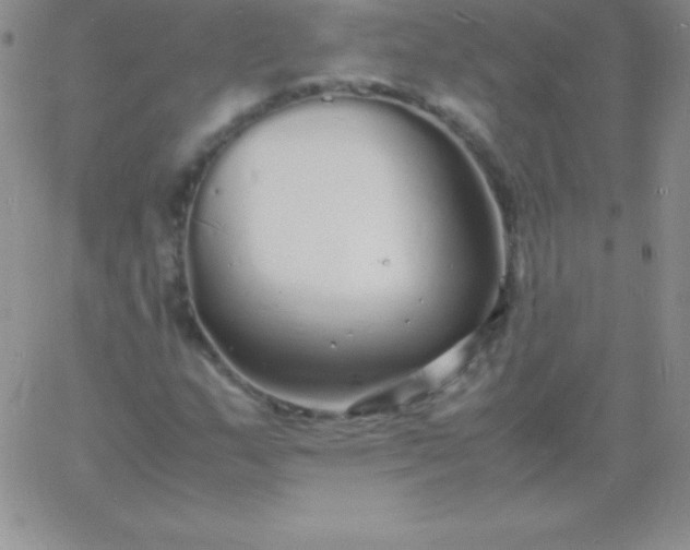 X0000060751159200511241656