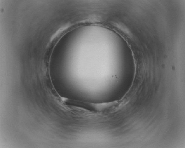 X0000060751160200511241656