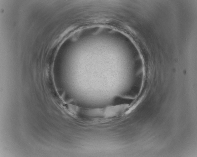 X0000060751161200511241656