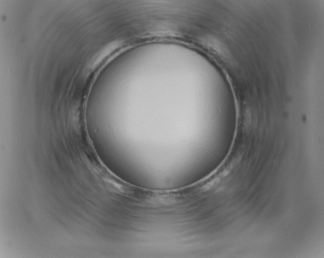 X0000060751162200511241656