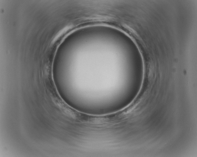 X0000060751163200511241656