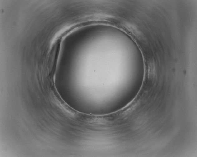 X0000060751164200511241656