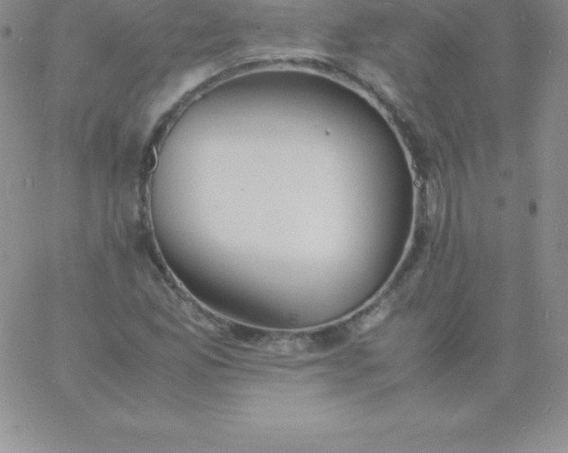 X0000060751165200511241656