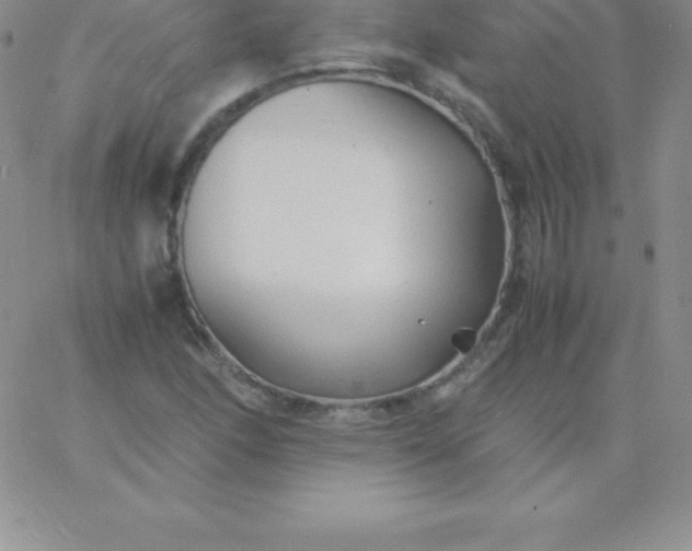 X0000060751166200511241656