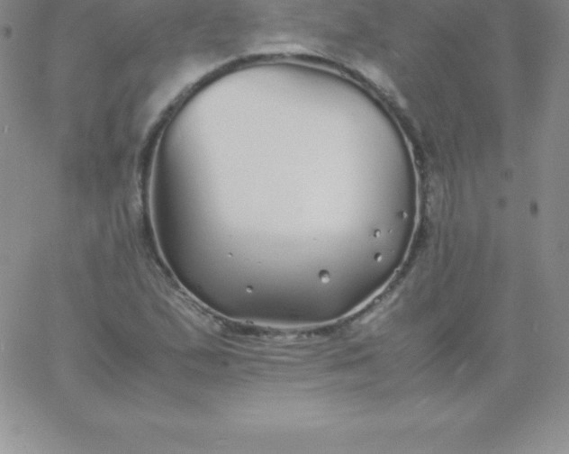 X0000060751167200511241656