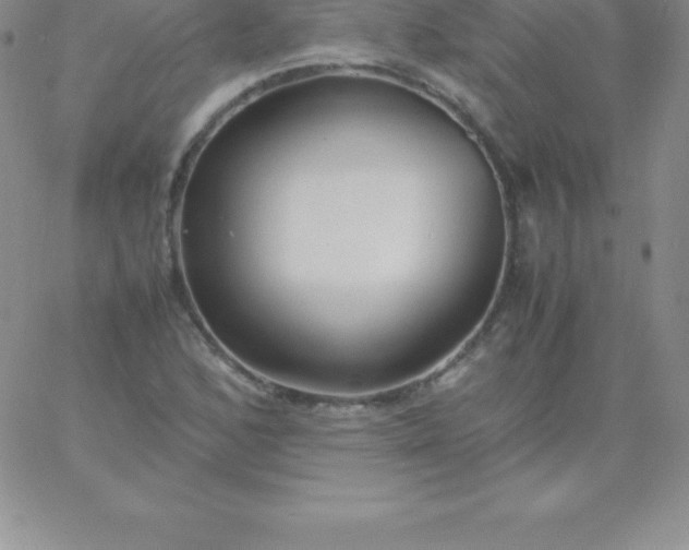 X0000060751168200511241656