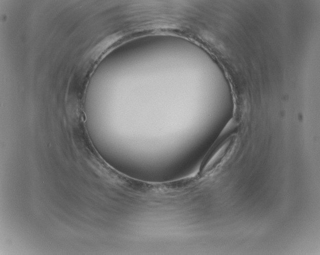 X0000060751169200511241656