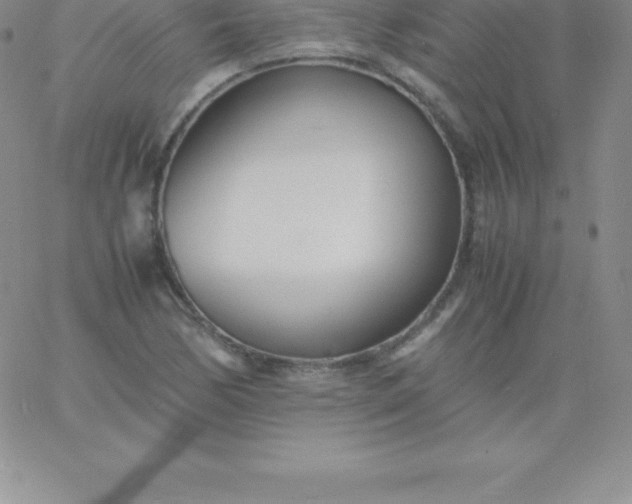 X0000060751170200511241656